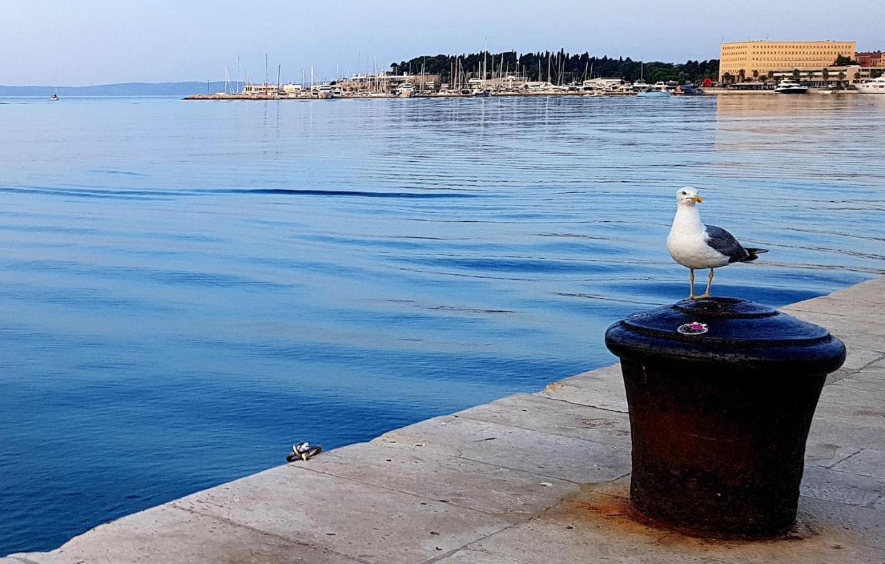 Appartement Tales Of - 100 Meters From The Seafront